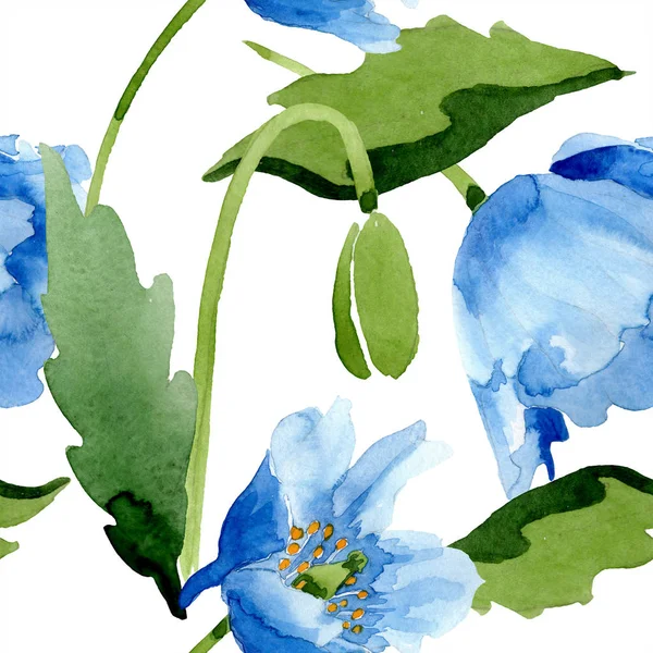 白で隔離の葉と青いケシ 水彩イラスト セット — ストック写真