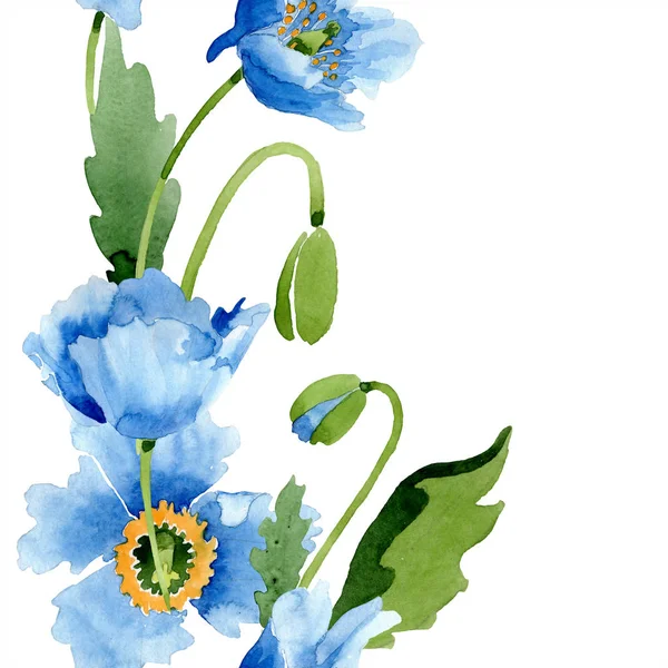 Blue Poppies Leaves Buds Isolated White Watercolor Illustration Set — Stock Photo, Image