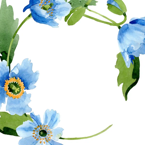 Blue Poppies Leaves Buds Frame Copy Space Isolated White Watercolor — Stock Photo, Image