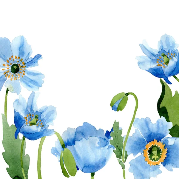 青いケシ 葉および芽の白で隔離 水彩イラスト セット フレーム枠飾り — ストック写真