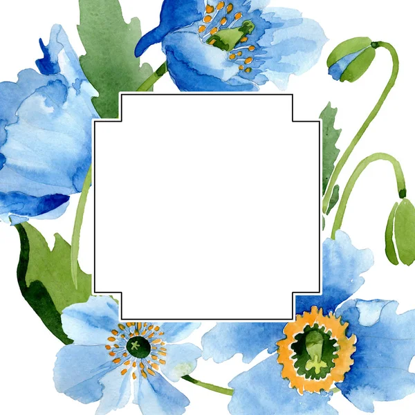 Blue Poppies Leaves Buds Square Frame Isolated White Watercolor Illustration — Stock Photo, Image