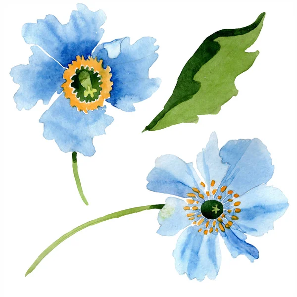 Blauwe Papaver Groene Blad Geïsoleerd Wit Aquarel Illustratie Set — Stockfoto