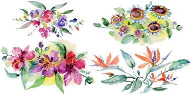 Buketler botanik çiçek. Vahşi bahar yaprak izole kır çiçeği. Suluboya arka plan illüstrasyon küme. Suluboya çizim moda aquarelle izole. İzole buket illüstrasyon öğesi.
