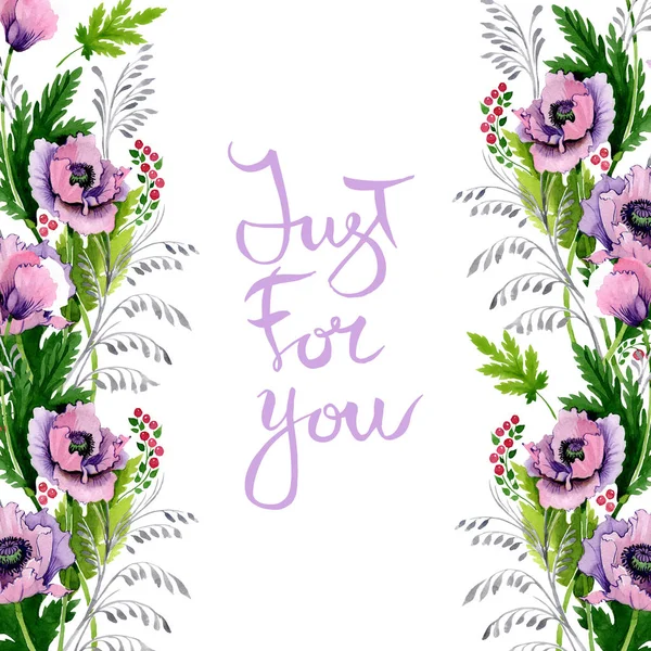 Maci Roz Violet Izolați Alb Set Ilustrații Fundal Acuarelă Cadru — Fotografie, imagine de stoc
