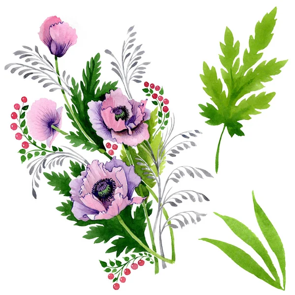 Pink and purple poppies isolated on white. Watercolor background illustration set. 