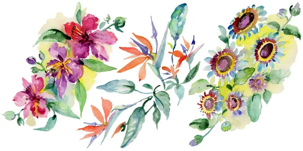 花束花植物の花 野生春葉のワイルドフラワーが分離されました 水彩画背景イラスト セット 水彩描画のファッション Aquarelle 分離します 孤立した花束の図要素 — ストック写真
