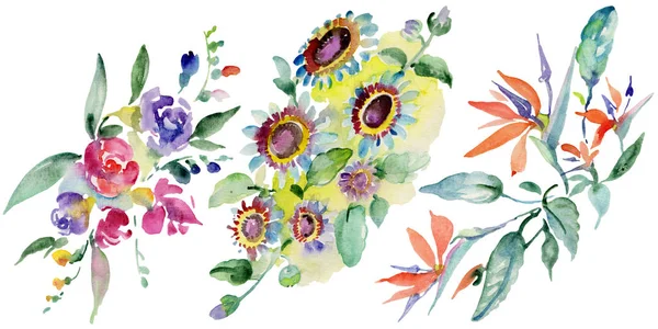 花束花植物の花 野生春葉のワイルドフラワーが分離されました 水彩画背景イラスト セット 水彩描画のファッション Aquarelle 分離します 孤立した花束の図要素 — ストック写真