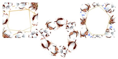 Pamuk botanik çiçek. Vahşi bahar yaprak izole kır çiçeği. Suluboya arka plan illüstrasyon küme. Suluboya çizim moda aquarelle izole. Çerçeve kenarlığı süsleme Meydanı.