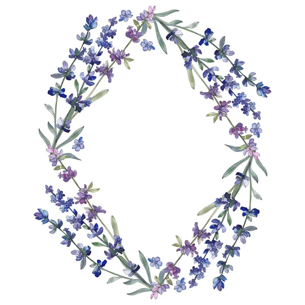 Μωβ Λεβάντα Floral Βοτανικό Λουλούδι Άγρια Άνοιξη Φύλλων Wildflower Απομονωμένη — Φωτογραφία Αρχείου