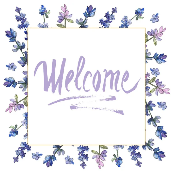 紫のラベンダー 花植物の花 野生春葉のワイルドフラワーが分離されました 水彩画背景イラスト セット 水彩描画のファッション Aquarelle 分離します フレーム枠飾りスクエア — ストック写真