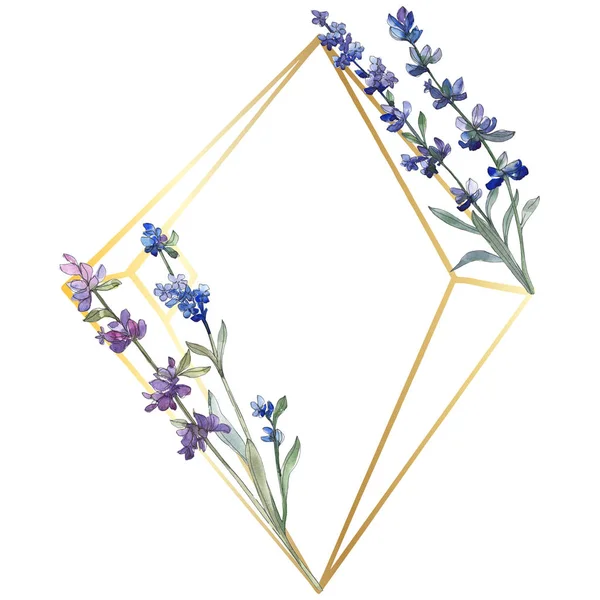 Paarse Lavendel Floral Botanische Bloem Wild Voorjaar Blad Wildflower Geïsoleerd — Stockfoto