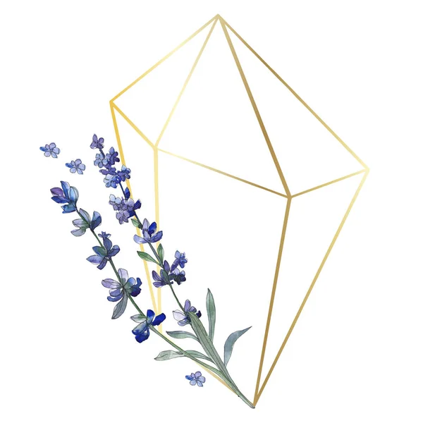 Purple lavender. Floral botanical flower. Wild spring leaf wildflower isolated. Watercolor background illustration set. Watercolour drawing fashion aquarelle isolated. Frame border ornament square.