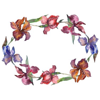 Purplr ahd kırmızı süsen botanik çiçek. Vahşi bahar yaprak kır çiçeği. Suluboya arka plan illüstrasyon küme. Suluboya çizim moda aquarelle izole. Çerçeve kenarlığı süsleme Meydanı.