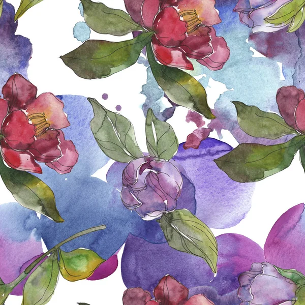 Kamelya kırmızı ve mor çiçekler. Suluboya resim kümesi. Sorunsuz arka plan deseni. Kumaş duvar kağıdı yazdırma doku.