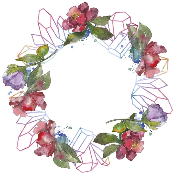 Kamelya kırmızı ve mor çiçekler. Suluboya arka plan illüstrasyon küme. Çerçeve kenarlığı süsleme kopya alanı ile.