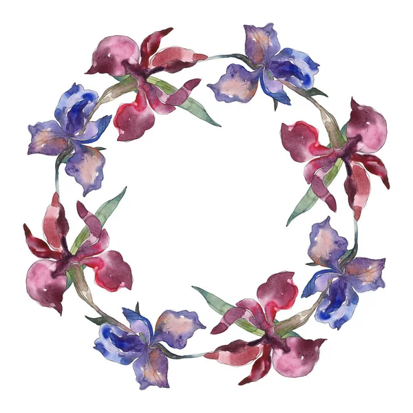 Purplr Ahd Merah Iris Bunga Botani Bunga Liar Daun Musim — Stok Foto