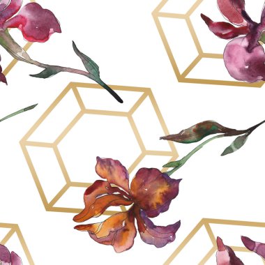 Purplr ahd kırmızı süsen çiçeği. Vahşi bahar yaprak kır çiçeği. Suluboya resim kümesi. Suluboya çizim moda aquarelle izole. Sorunsuz arka plan deseni. Kumaş duvar kağıdı yazdırma doku.