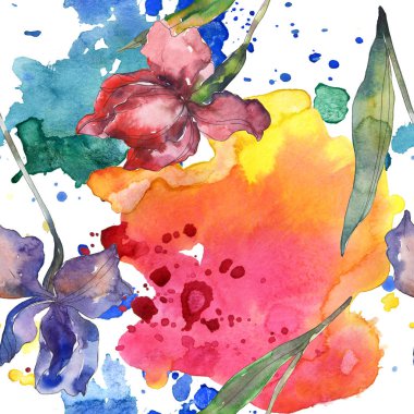 Purplr ahd kırmızı süsen çiçeği. Vahşi bahar yaprak kır çiçeği. Suluboya resim kümesi. Suluboya çizim moda aquarelle izole. Sorunsuz arka plan deseni. Kumaş duvar kağıdı yazdırma doku.