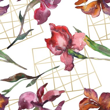 Purplr ahd kırmızı süsen çiçeği. Vahşi bahar yaprak kır çiçeği. Suluboya resim kümesi. Suluboya çizim moda aquarelle izole. Sorunsuz arka plan deseni. Kumaş duvar kağıdı yazdırma doku.