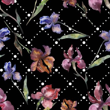 Purplr ahd kırmızı süsen çiçeği. Vahşi bahar yaprak kır çiçeği. Suluboya resim kümesi. Suluboya çizim moda aquarelle izole. Sorunsuz arka plan deseni. Kumaş duvar kağıdı yazdırma doku.