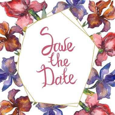 Purplr ahd kırmızı süsen botanik çiçek. Vahşi bahar yaprak kır çiçeği. Suluboya arka plan illüstrasyon küme. Suluboya çizim moda aquarelle izole. Çerçeve kenarlığı süsleme Meydanı.