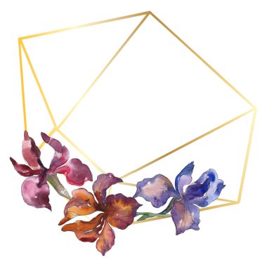 Purplr ahd kırmızı süsen botanik çiçek. Vahşi bahar yaprak kır çiçeği. Suluboya arka plan illüstrasyon küme. Suluboya çizim moda aquarelle izole. Çerçeve kenarlığı süsleme Meydanı.