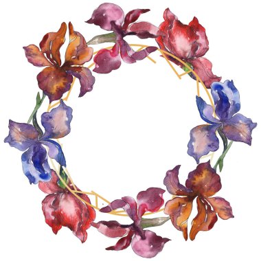 Purplr ahd kırmızı süsen botanik çiçek. Vahşi bahar yaprak kır çiçeği. Suluboya arka plan illüstrasyon küme. Suluboya çizim moda aquarelle izole. Çerçeve kenarlığı süsleme Meydanı.