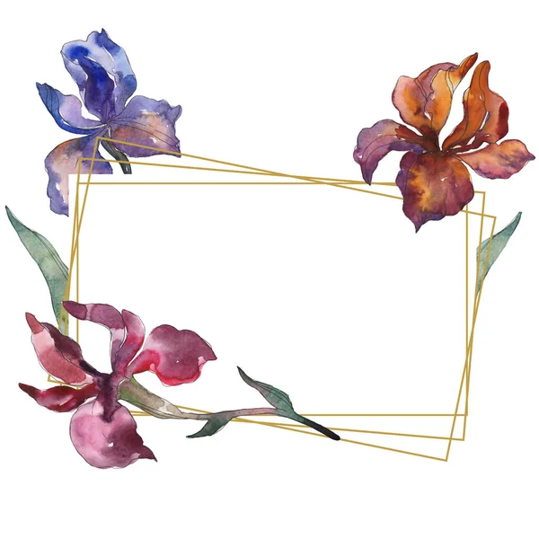 Purplr Ahd Rouge Iris Fleur Botanique Florale Feuille Printemps Sauvage — Photo