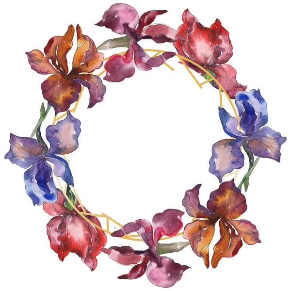 Purplr Ahd Röd Iris Blommig Botaniska Blomma Vilda Våren Leaf — Stockfoto