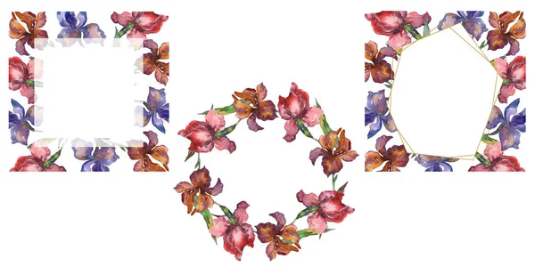 Purplr Ahd Rode Irissen Floral Botanische Bloem Wild Voorjaar Blad — Stockfoto