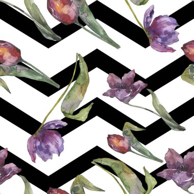 Mor Lale Çiçek Botanik çiçek. Vahşi bahar yaprak izole. Suluboya resim kümesi. Suluboya çizim moda aquarelle. Sorunsuz arka plan deseni. Kumaş duvar kağıdı yazdırma doku.