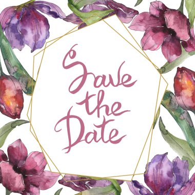 Mor Lale Çiçek Botanik çiçek. Vahşi bahar yaprak izole kır çiçeği. Suluboya arka plan illüstrasyon küme. Suluboya çizim moda aquarelle izole. Çerçeve kenarlığı süsleme Meydanı.