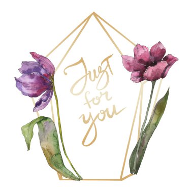 Mor Lale Çiçek Botanik çiçek. Vahşi bahar yaprak izole kır çiçeği. Suluboya arka plan illüstrasyon küme. Suluboya çizim moda aquarelle izole. Çerçeve kenarlığı süsleme Meydanı.