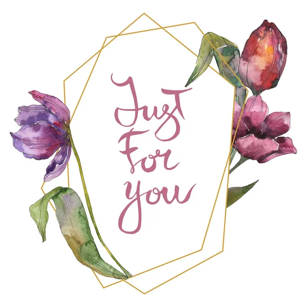 Фиолетовый Тюльпан Цветочные Ботанические Цветы Дикий Весенний Цветок Изолирован Набор — стоковое фото