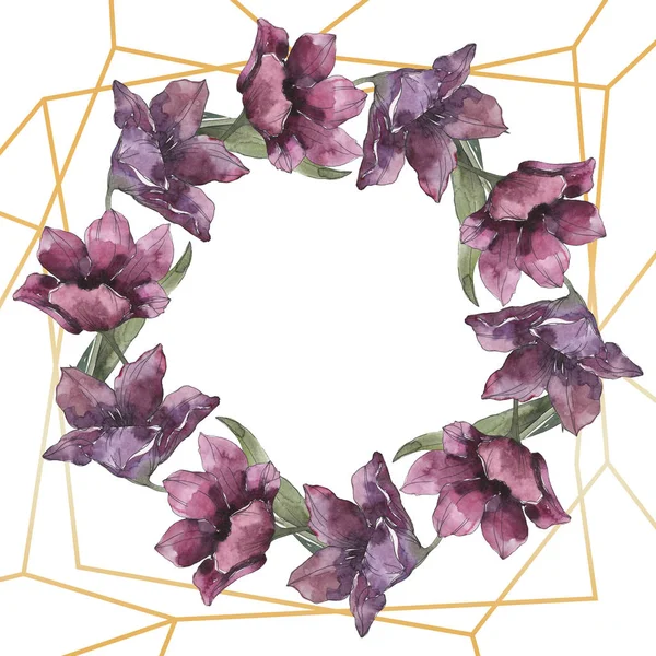 Фіолетовий Тюльпан Квіткові Ботанічні Квіти Дикий Весняний Лист Ізольований Набір — стокове фото