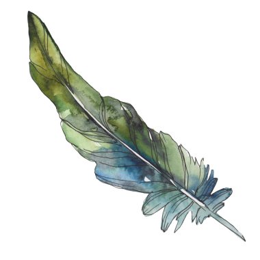 Kuş tüyü izole Wing. Suluboya arka plan illüstrasyon küme. Suluboya çizim moda aquarelle izole. İzole tüy illüstrasyon öğesi.