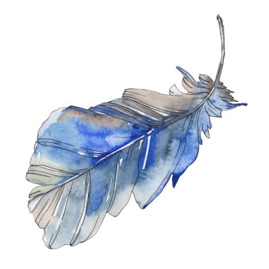 Kuş tüyü izole Wing. Suluboya arka plan illüstrasyon küme. Suluboya çizim moda aquarelle izole. İzole tüy illüstrasyon öğesi.