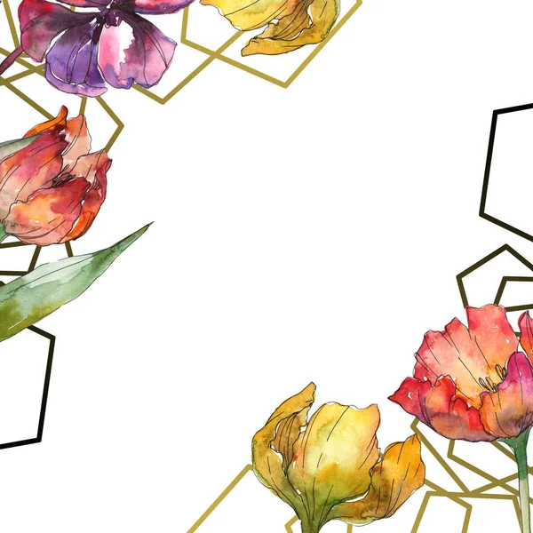 Tulipani Gialli Rossi Acquerello Sfondo Illustrazione Set Ornamento Bordo Cornice — Foto Stock
