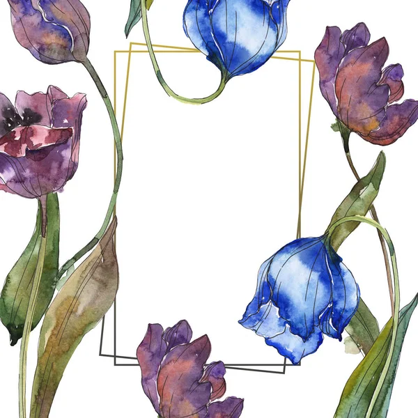 Ensemble Illustration Fond Aquarelle Tulipes Violet Bleu Cadre Bordure Ornement — Photo