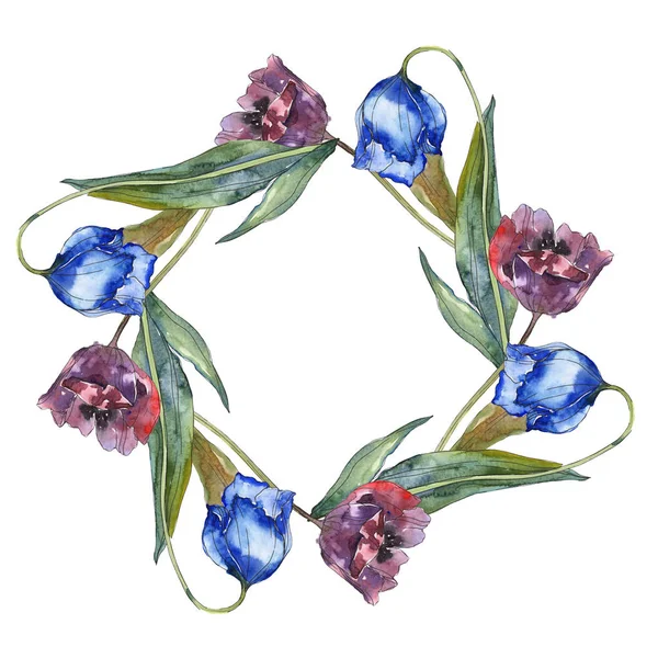 Ensemble Illustration Fond Aquarelle Tulipes Violet Bleu Cadre Bordure Ornement — Photo