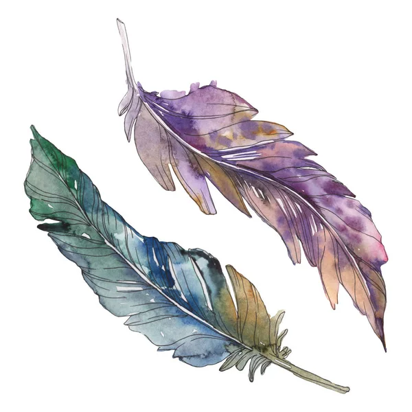 Vogelfeder Vom Flügel Isoliert Aquarell Hintergrundillustration Set Aquarellzeichnung Modeaquarell Isoliert — Stockfoto