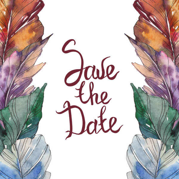 Птичье перо из крыла изолировано. Набор акварельных фонов. Акварель акварель акварель изолирована. Граничный орнамент
.