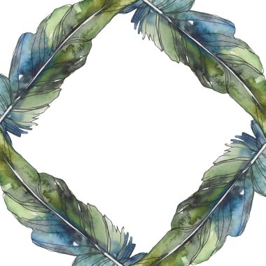 Kuş tüyü izole Wing. Suluboya arka plan illüstrasyon küme. Suluboya çizim moda aquarelle izole. Çerçeve kenarlığı süsleme Meydanı.