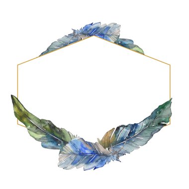 Kuş tüyü izole Wing. Suluboya arka plan illüstrasyon küme. Suluboya çizim moda aquarelle izole. Çerçeve kenarlığı süsleme Meydanı.