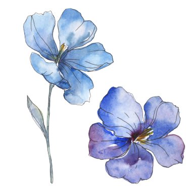 Mavi mor keten. Botanik çiçek. Vahşi bahar yaprak izole kır çiçeği. Suluboya arka plan illüstrasyon küme. Suluboya çizim moda aquarelle. İzole keten illüstrasyon öğesi.