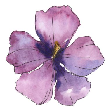 Mavi mor keten. Botanik çiçek. Vahşi bahar yaprak izole kır çiçeği. Suluboya arka plan illüstrasyon küme. Suluboya çizim moda aquarelle. İzole keten illüstrasyon öğesi.