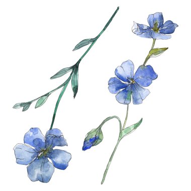 Mavi ve mor keten botanik çiçek. Vahşi bahar yaprak izole kır çiçeği. Suluboya arka plan illüstrasyon küme. Suluboya çizim moda aquarelle. İzole keten illüstrasyon öğesi.