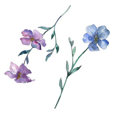 Mavi ve mor keten botanik çiçek. Vahşi bahar yaprak izole kır çiçeği. Suluboya arka plan illüstrasyon küme. Suluboya çizim moda aquarelle. İzole keten illüstrasyon öğesi.