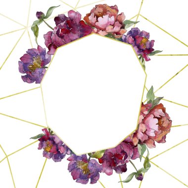 Mor izole üzerinde beyaz peonies suluboya arka plan illüstrasyon küme. Çerçeve kenarlığı süsleme.