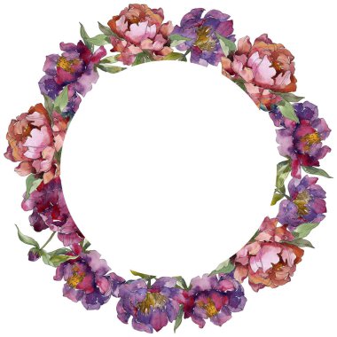 Mor izole üzerinde beyaz peonies suluboya arka plan illüstrasyon küme. Çerçeve kenarlığı süsleme.